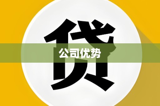 公司优势