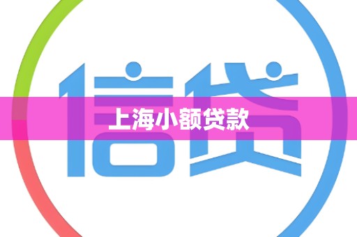 上海小额贷款